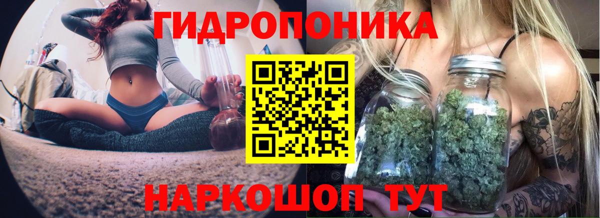 Канабис план  Каннабис Bruce Banner  Конопля Bruce Banner  Свободный  Вход с VPN 